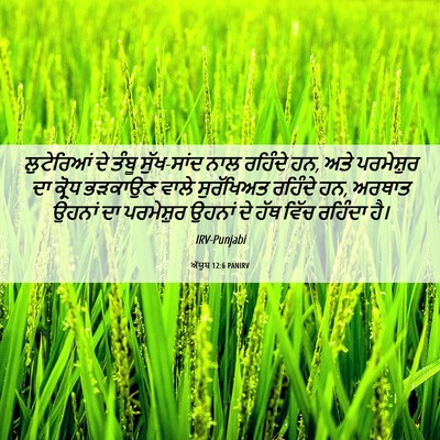 Picture 06 - ਅੱਯੂਬ 12:6 PANIRV - ਲੁਟੇਰਿਆਂ ਦੇ ਤੰਬੂ - Bible Verse Picture