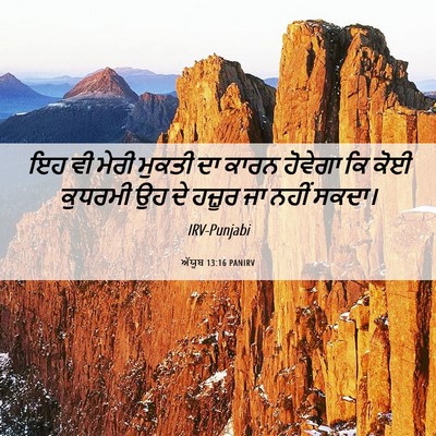 Picture 06 - ਅੱਯੂਬ 13:16 PANIRV - ਇਹ ਵੀ ਮੇਰੀ ਮੁਕਤੀ ਦਾ - Bible Verse Picture