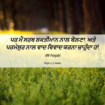 Picture 06 - ਅੱਯੂਬ 13:3 PANIRV - ਪਰ ਮੈਂ ਸਰਬ - Bible Verse Picture