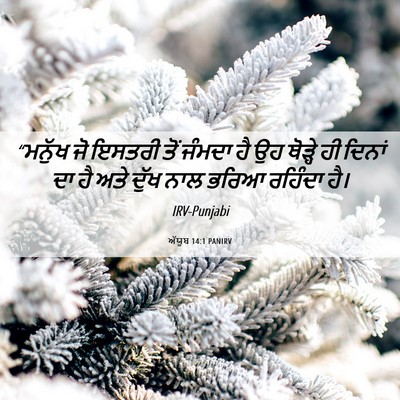 Picture 06 - ਅੱਯੂਬ 14:1 PANIRV - “ਮਨੁੱਖ ਜੋ ਇਸਤਰੀ - Bible Verse Picture