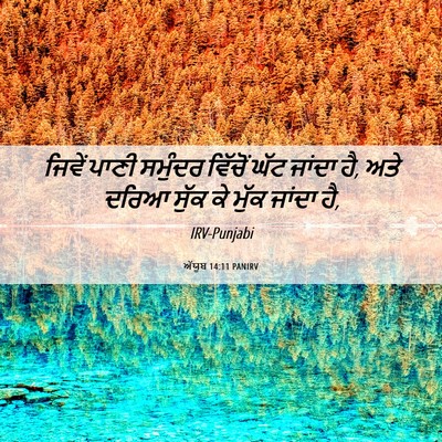 Picture 06 - ਅੱਯੂਬ 14:11 PANIRV - ਜਿਵੇਂ ਪਾਣੀ ਸਮੁੰਦਰ - Bible Verse Picture