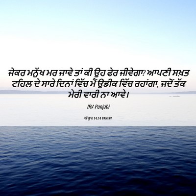 Picture 06 - ਅੱਯੂਬ 14:14 PANIRV - ਜੇਕਰ ਮਨੁੱਖ ਮਰ ਜਾਵੇ - Bible Verse Picture