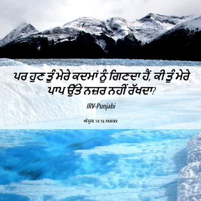 Picture 06 - ਅੱਯੂਬ 14:16 PANIRV - ਪਰ ਹੁਣ ਤੂੰ ਮੇਰੇ - Bible Verse Picture