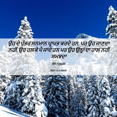 Picture 06 - ਅੱਯੂਬ 14:21 PANIRV - ਉਹ ਦੇ ਪੁੱਤਰ ਸਨਮਾਨ - Bible Verse Picture