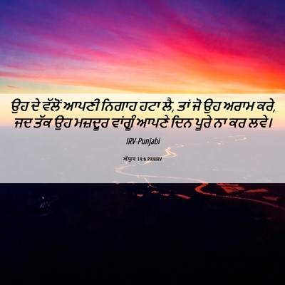 Picture 06 - ਅੱਯੂਬ 14:6 PANIRV - ਉਹ ਦੇ ਵੱਲੋਂ ਆਪਣੀ - Bible Verse Picture