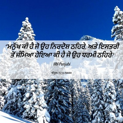 Picture 06 - ਅੱਯੂਬ 15:14 PANIRV - “ਮਨੁੱਖ ਕੀ ਹੈ ਜੋ ਉਹ - Bible Verse Picture