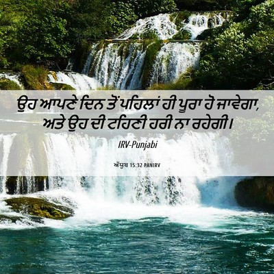 Picture 06 - ਅੱਯੂਬ 15:32 PANIRV - ਉਹ ਆਪਣੇ ਦਿਨ ਤੋਂ - Bible Verse Picture