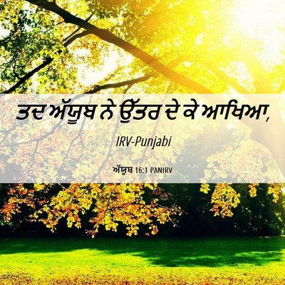 Picture 06 - ਅੱਯੂਬ 16:1 PANIRV - ਤਦ ਅੱਯੂਬ ਨੇ ਉੱਤਰ ਦੇ - Bible Verse Picture