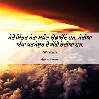Picture 06 - ਅੱਯੂਬ 16:20 PANIRV - ਮੇਰੇ ਮਿੱਤਰ ਮੇਰਾ - Bible Verse Picture