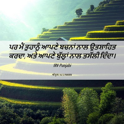 Picture 06 - ਅੱਯੂਬ 16:5 PANIRV - ਪਰ ਮੈਂ ਤੁਹਾਨੂੰ - Bible Verse Picture