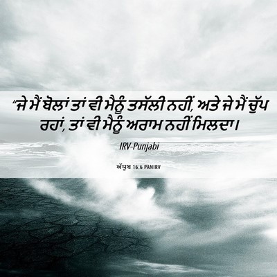 Picture 06 - ਅੱਯੂਬ 16:6 PANIRV - “ਜੇ ਮੈਂ ਬੋਲਾਂ ਤਾਂ - Bible Verse Picture
