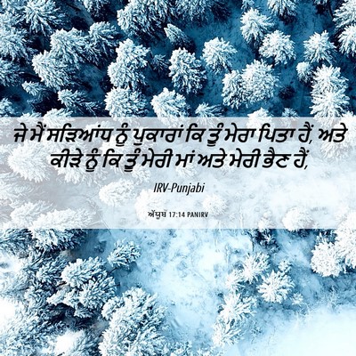 Picture 06 - ਅੱਯੂਬ 17:14 PANIRV - ਜੇ ਮੈਂ ਸੜਿਆਂਧ ਨੂੰ - Bible Verse Picture