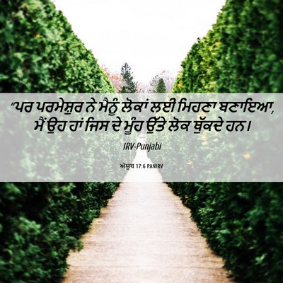 Picture 06 - ਅੱਯੂਬ 17:6 PANIRV - “ਪਰ ਪਰਮੇਸ਼ੁਰ ਨੇ - Bible Verse Picture