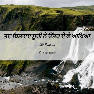 Picture 06 - ਅੱਯੂਬ 18:1 PANIRV - ਤਦ ਬਿਲਦਦ ਸ਼ੂਹੀ ਨੇ - Bible Verse Picture