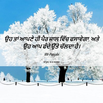 Picture 06 - ਅੱਯੂਬ 18:8 PANIRV - ਉਹ ਤਾਂ ਆਪਣੇ ਹੀ ਪੈਰ - Bible Verse Picture