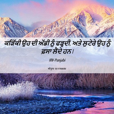 Picture 06 - ਅੱਯੂਬ 18:9 PANIRV - ਕੜਿੱਕੀ ਉਹ ਦੀ ਅੱਡੀ - Bible Verse Picture