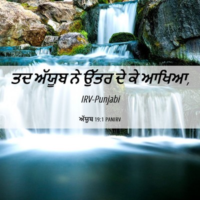 Picture 06 - ਅੱਯੂਬ 19:1 PANIRV - ਤਦ ਅੱਯੂਬ ਨੇ ਉੱਤਰ ਦੇ - Bible Verse Picture