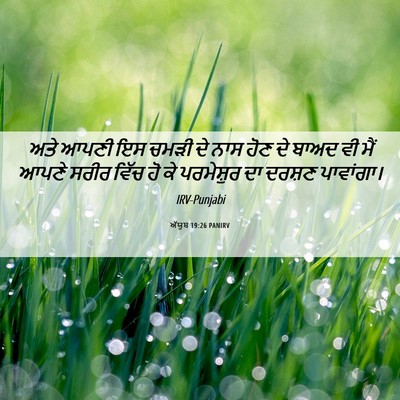 Picture 06 - ਅੱਯੂਬ 19:26 PANIRV - ਅਤੇ ਆਪਣੀ ਇਸ ਚਮੜੀ ਦੇ - Bible Verse Picture