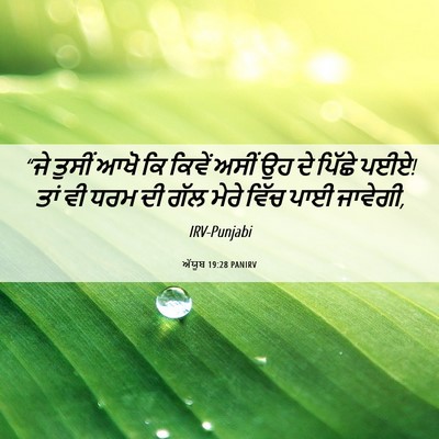 Picture 06 - ਅੱਯੂਬ 19:28 PANIRV - “ਜੇ ਤੁਸੀਂ ਆਖੋ ਕਿ - Bible Verse Picture