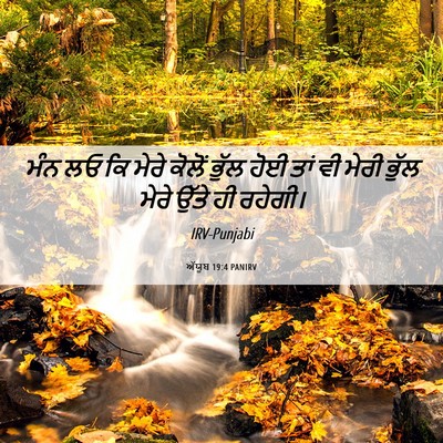 Picture 06 - ਅੱਯੂਬ 19:4 PANIRV - ਮੰਨ ਲਓ ਕਿ ਮੇਰੇ - Bible Verse Picture