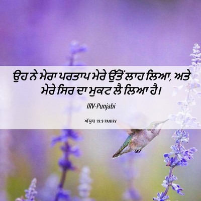 Picture 06 - ਅੱਯੂਬ 19:9 PANIRV - ਉਹ ਨੇ ਮੇਰਾ ਪਰਤਾਪ - Bible Verse Picture