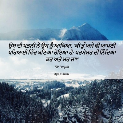 Picture 06 - ਅੱਯੂਬ 2:9 PANIRV - ਉਸ ਦੀ ਪਤਨੀ ਨੇ ਉਸ - Bible Verse Picture