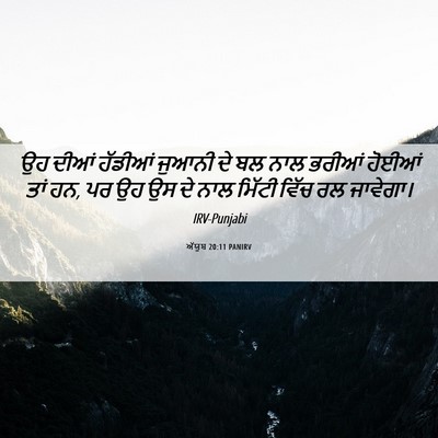 Picture 06 - ਅੱਯੂਬ 20:11 PANIRV - ਉਹ ਦੀਆਂ ਹੱਡੀਆਂ - Bible Verse Picture