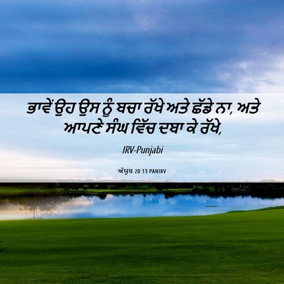 Picture 06 - ਅੱਯੂਬ 20:13 PANIRV - ਭਾਵੇਂ ਉਹ ਉਸ ਨੂੰ ਬਚਾ - Bible Verse Picture