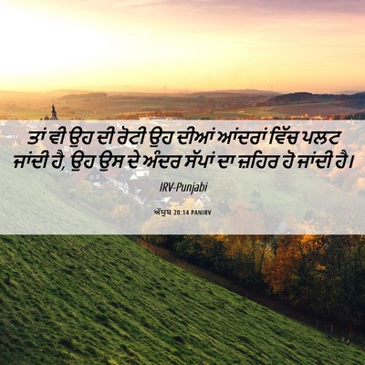 Picture 06 - ਅੱਯੂਬ 20:14 PANIRV - ਤਾਂ ਵੀ ਉਹ ਦੀ ਰੋਟੀ - Bible Verse Picture