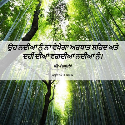 Picture 06 - ਅੱਯੂਬ 20:17 PANIRV - ਉਹ ਨਦੀਆਂ ਨੂੰ ਨਾ - Bible Verse Picture