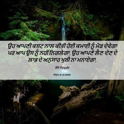 Picture 06 - ਅੱਯੂਬ 20:18 PANIRV - ਉਹ ਆਪਣੀ ਕਸ਼ਟ ਨਾਲ - Bible Verse Picture