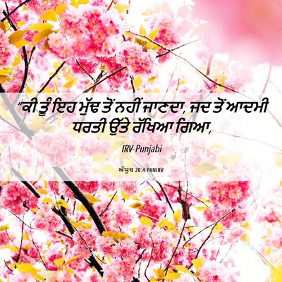 Picture 06 - ਅੱਯੂਬ 20:4 PANIRV - “ਕੀ ਤੂੰ ਇਹ ਮੁੱਢ ਤੋਂ - Bible Verse Picture