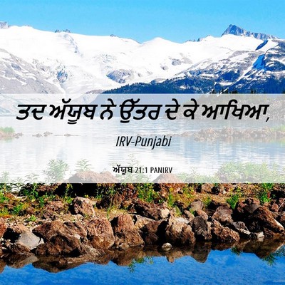Picture 06 - ਅੱਯੂਬ 21:1 PANIRV - ਤਦ ਅੱਯੂਬ ਨੇ ਉੱਤਰ ਦੇ - Bible Verse Picture