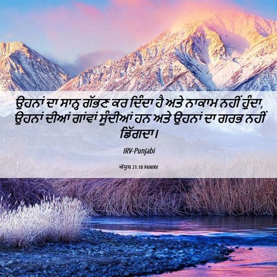 Picture 06 - ਅੱਯੂਬ 21:10 PANIRV - ਉਹਨਾਂ ਦਾ ਸਾਨ੍ਹ - Bible Verse Picture