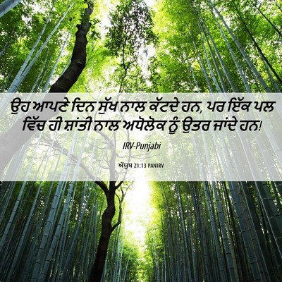 Picture 06 - ਅੱਯੂਬ 21:13 PANIRV - ਉਹ ਆਪਣੇ ਦਿਨ ਸੁੱਖ - Bible Verse Picture