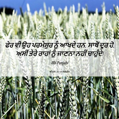 Picture 06 - ਅੱਯੂਬ 21:14 PANIRV - ਫੇਰ ਵੀ ਉਹ ਪਰਮੇਸ਼ੁਰ - Bible Verse Picture