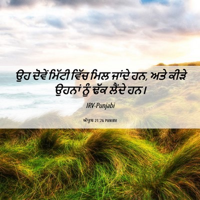 Picture 06 - ਅੱਯੂਬ 21:26 PANIRV - ਉਹ ਦੋਵੇਂ ਮਿੱਟੀ - Bible Verse Picture