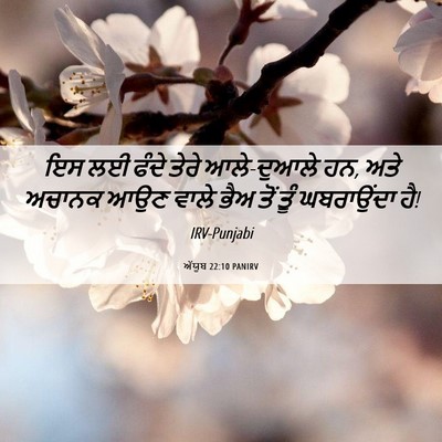 Picture 06 - ਅੱਯੂਬ 22:10 PANIRV - ਇਸ ਲਈ ਫੰਦੇ ਤੇਰੇ - Bible Verse Picture