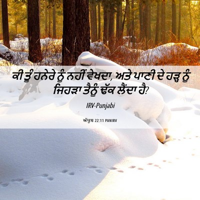 Picture 06 - ਅੱਯੂਬ 22:11 PANIRV - ਕੀ ਤੂੰ ਹਨੇਰੇ ਨੂੰ - Bible Verse Picture