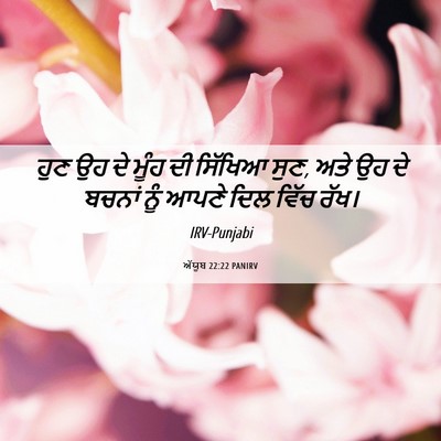 Picture 06 - ਅੱਯੂਬ 22:22 PANIRV - ਹੁਣ ਉਹ ਦੇ ਮੂੰਹ ਦੀ - Bible Verse Picture