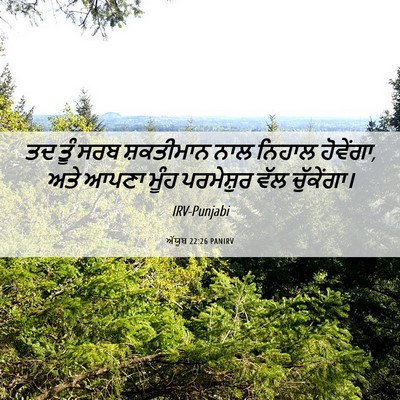 Picture 06 - ਅੱਯੂਬ 22:26 PANIRV - ਤਦ ਤੂੰ ਸਰਬ - Bible Verse Picture