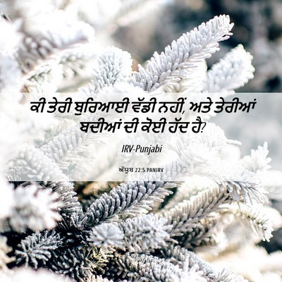 Picture 06 - ਅੱਯੂਬ 22:5 PANIRV - ਕੀ ਤੇਰੀ ਬੁਰਿਆਈ - Bible Verse Picture