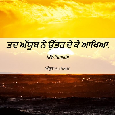 Picture 06 - ਅੱਯੂਬ 23:1 PANIRV - ਤਦ ਅੱਯੂਬ ਨੇ ਉੱਤਰ ਦੇ - Bible Verse Picture