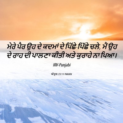 Picture 06 - ਅੱਯੂਬ 23:11 PANIRV - ਮੇਰੇ ਪੈਰ ਉਹ ਦੇ - Bible Verse Picture