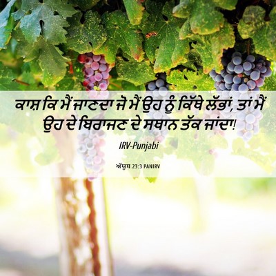 Picture 06 - ਅੱਯੂਬ 23:3 PANIRV - ਕਾਸ਼ ਕਿ ਮੈਂ ਜਾਣਦਾ - Bible Verse Picture