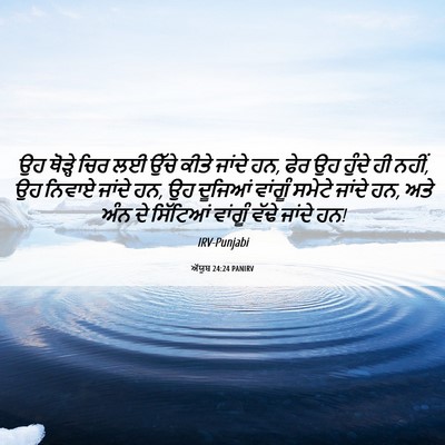 Picture 06 - ਅੱਯੂਬ 24:24 PANIRV - ਉਹ ਥੋੜ੍ਹੇ ਚਿਰ ਲਈ - Bible Verse Picture