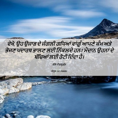 Picture 06 - ਅੱਯੂਬ 24:5 PANIRV - ਵੇਖੋ, ਉਹ ਉਜਾੜ ਦੇ - Bible Verse Picture