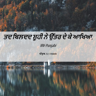 Picture 06 - ਅੱਯੂਬ 25:1 PANIRV - ਤਦ ਬਿਲਦਦ ਸ਼ੂਹੀ ਨੇ - Bible Verse Picture