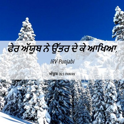 Picture 06 - ਅੱਯੂਬ 26:1 PANIRV - ਫੇਰ ਅੱਯੂਬ ਨੇ ਉੱਤਰ - Bible Verse Picture