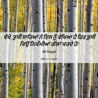 Picture 06 - ਅੱਯੂਬ 27:12 PANIRV - ਵੇਖੋ, ਤੁਸੀਂ ਸਾਰਿਆਂ - Bible Verse Picture